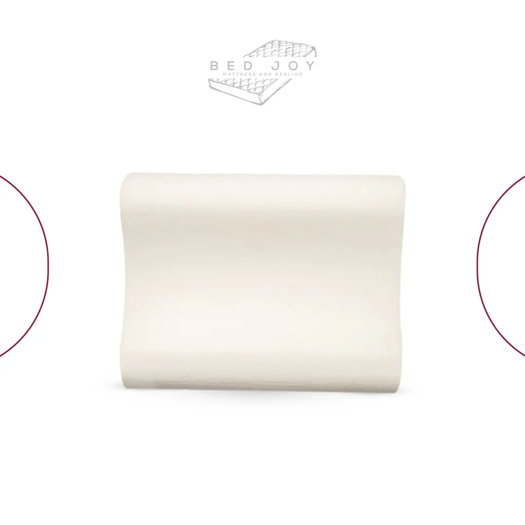 Double Curve Memory Foam Pillow
