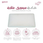 Perforated Latex Pillow