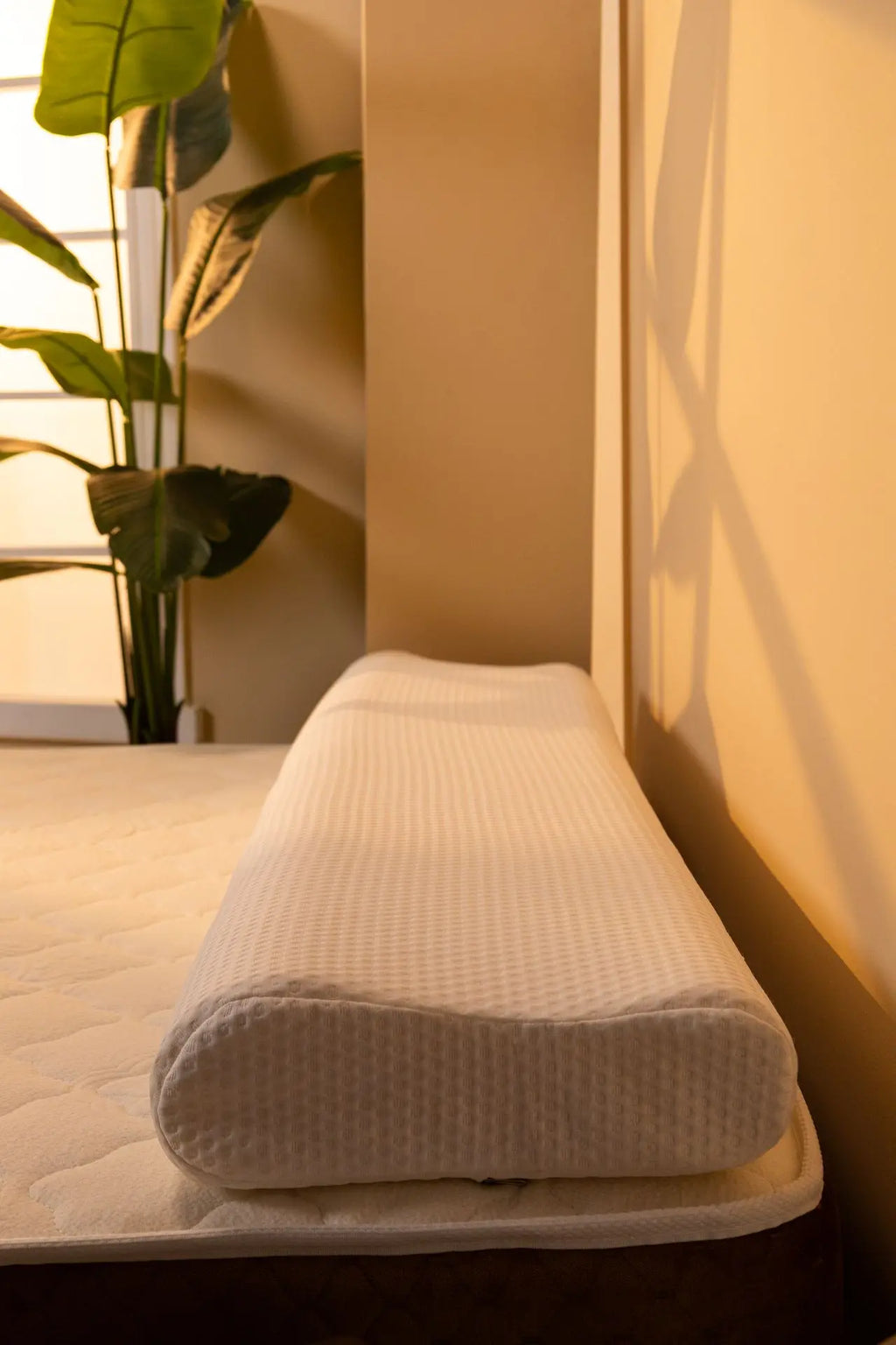 Memory Foam Contour Long Last Pillow