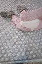 leg _pillow (small size).webp