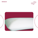 Perforated Latex Pillow