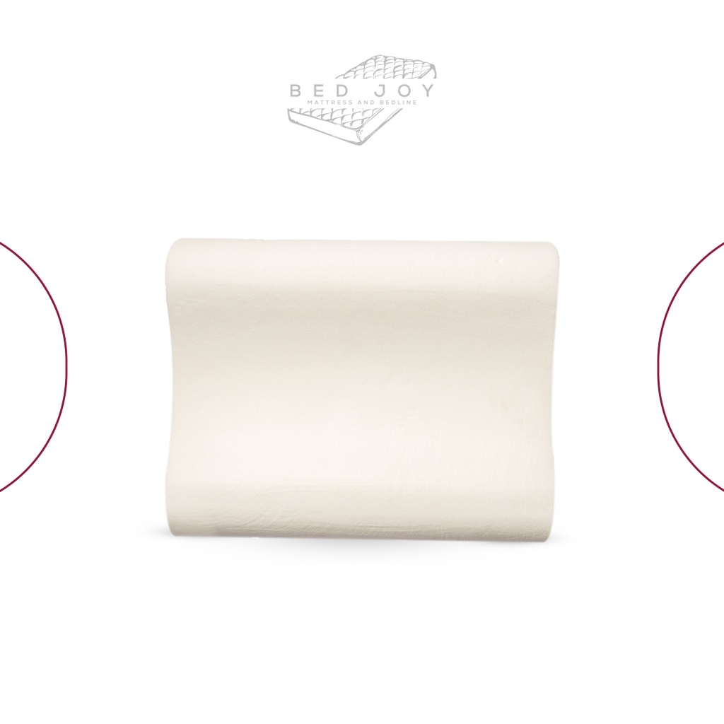 Double Curve Memory Foam Pillow